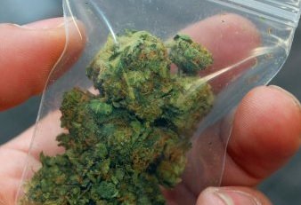 Сколько марихуана в москве сколько за выращивание конопли
